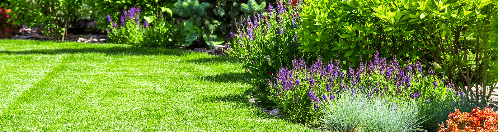 westchester-county-lawn-pest-control-all-county
